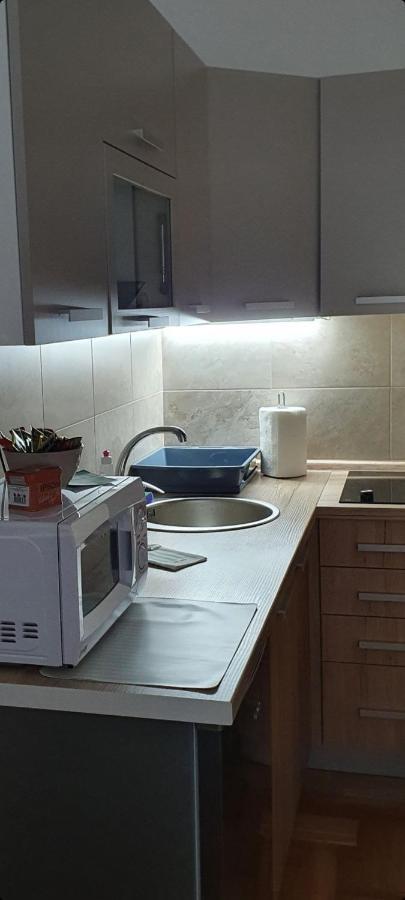 Apartman Tim Lux 1 Vrnjačka Banja Eksteriør billede