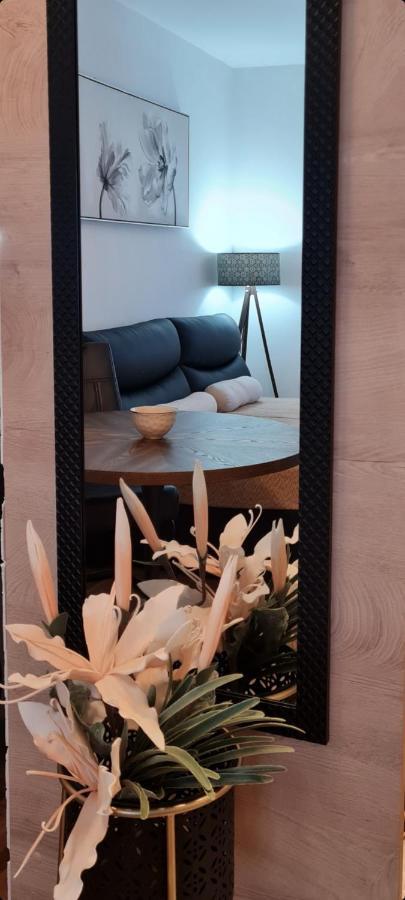 Apartman Tim Lux 1 Vrnjačka Banja Eksteriør billede